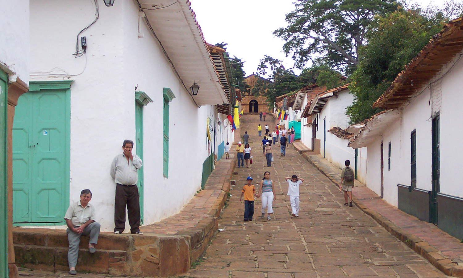 calle 6
